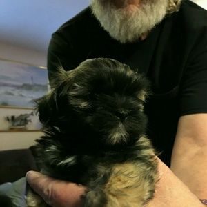 Meet your Posher, Cindy